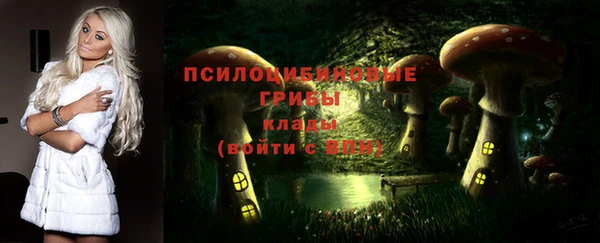 2c-b Касимов
