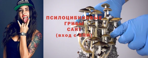 2c-b Касимов